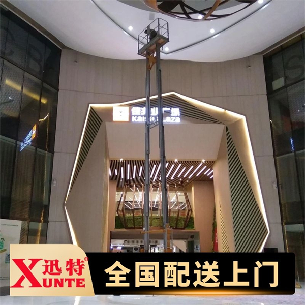 雙桅桿鋁合金升降機(jī)廠家