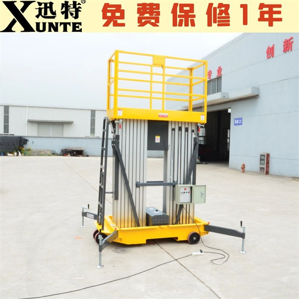 雙柱鋁合金式升降機廠家