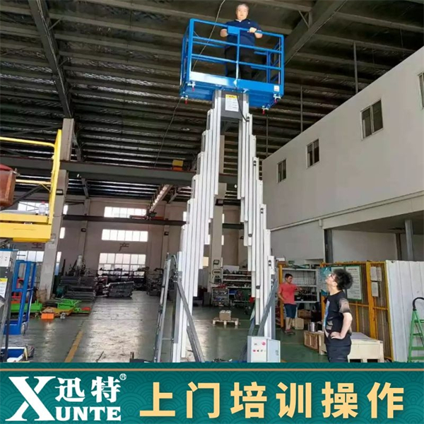 雙柱鋁合金式升降機廠家