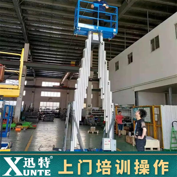 電動雙柱鋁合金升降機(jī)