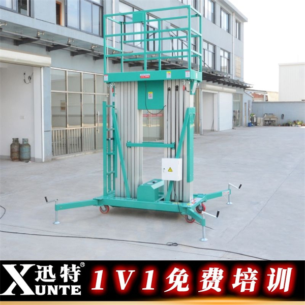 雙柱8米鋁合金升降機(jī)