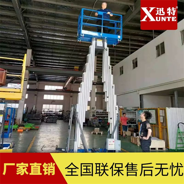 雙軌柱鋁合金升降機(jī)