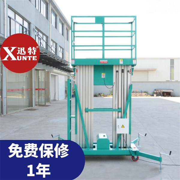 雙軌柱鋁合金升降機(jī)