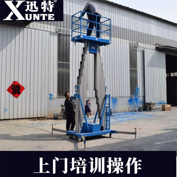 雙桅桿鋁合金升降機(jī)