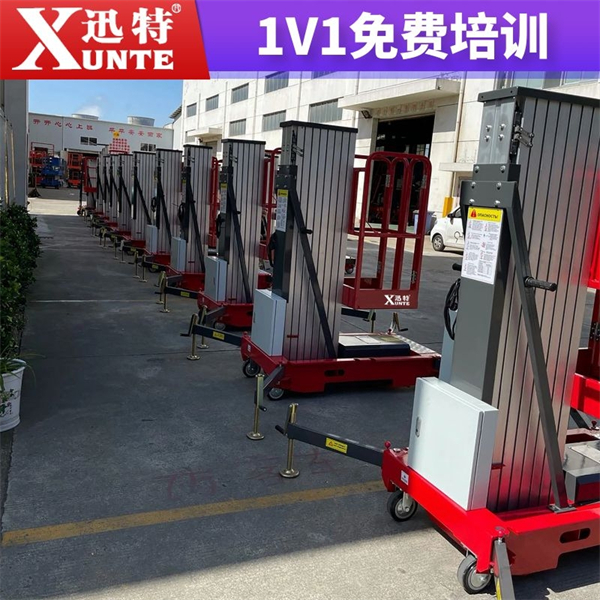 單梔柱式鋁合金升降機(jī)